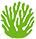 ZOC Koral