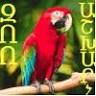 zoo market Zoo ashkharh pet Shop Zoo ashxarh Զոո Աշխարհ зоомагазин