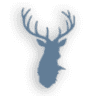 Hirsch